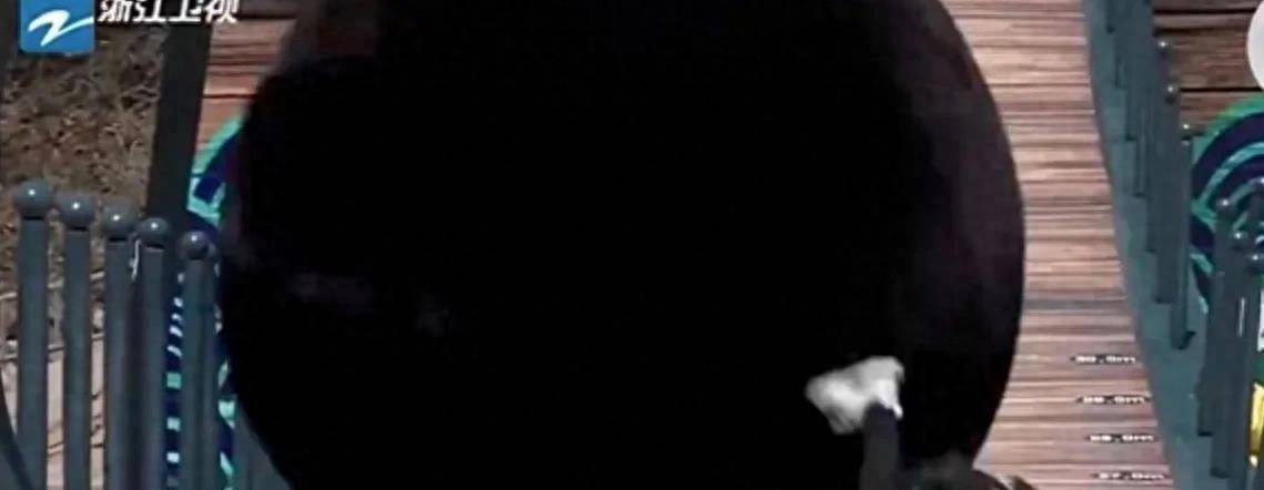 Lisa、跑男、总局集体互相泼油，引发各方争议和争议(图13)