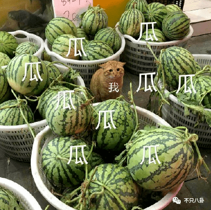 出轨又涉毒!会不会重现“胜利夜店”风暴的大瓜盛景,拔出萝卜带出N多泥?(图93) 出轨又涉毒!会不会重现“胜利夜店”风暴的大瓜盛景,拔出萝卜带出N多泥?(图93)