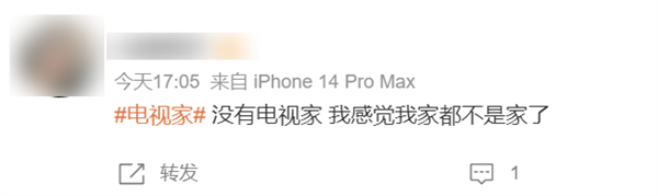 一个“盗版电视”APP没了!“ 电视家跑路 ”的事 上了好几次热搜(图13) 一个“盗版电视”APP没了!网友们悲痛欲绝:时代的悲哀