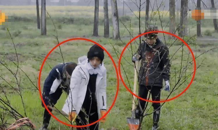 张艺兴穿白衣下田干农活被质疑作秀(图3) 张艺兴穿白衣下田干农活被质疑作秀(图3)