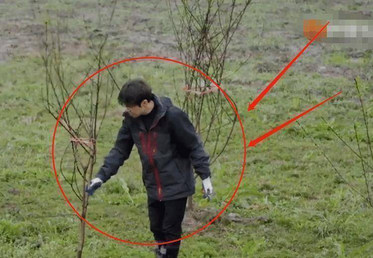 张艺兴穿白衣下田干农活被质疑作秀(图4) 张艺兴穿白衣下田干农活被质疑作秀(图4)