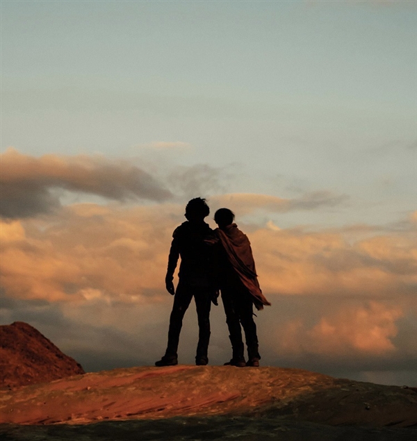 《天行者的爱情故事》在圣丹斯电影节首映 网飞在圣丹斯电影节首映,获得影评人积极评价。网飞反应迅速购得发行权(图7) 网飞竞得《天行者的爱情故事》