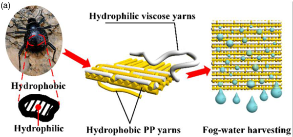 《沙丘》萌系“跳跳鼠”用耳朵喝水:有一对大耳朵,不仅能探听风吹草动(图6) 《沙丘2》中用耳朵喝水的“沙鼠”是真的吗:还有比它更神奇的