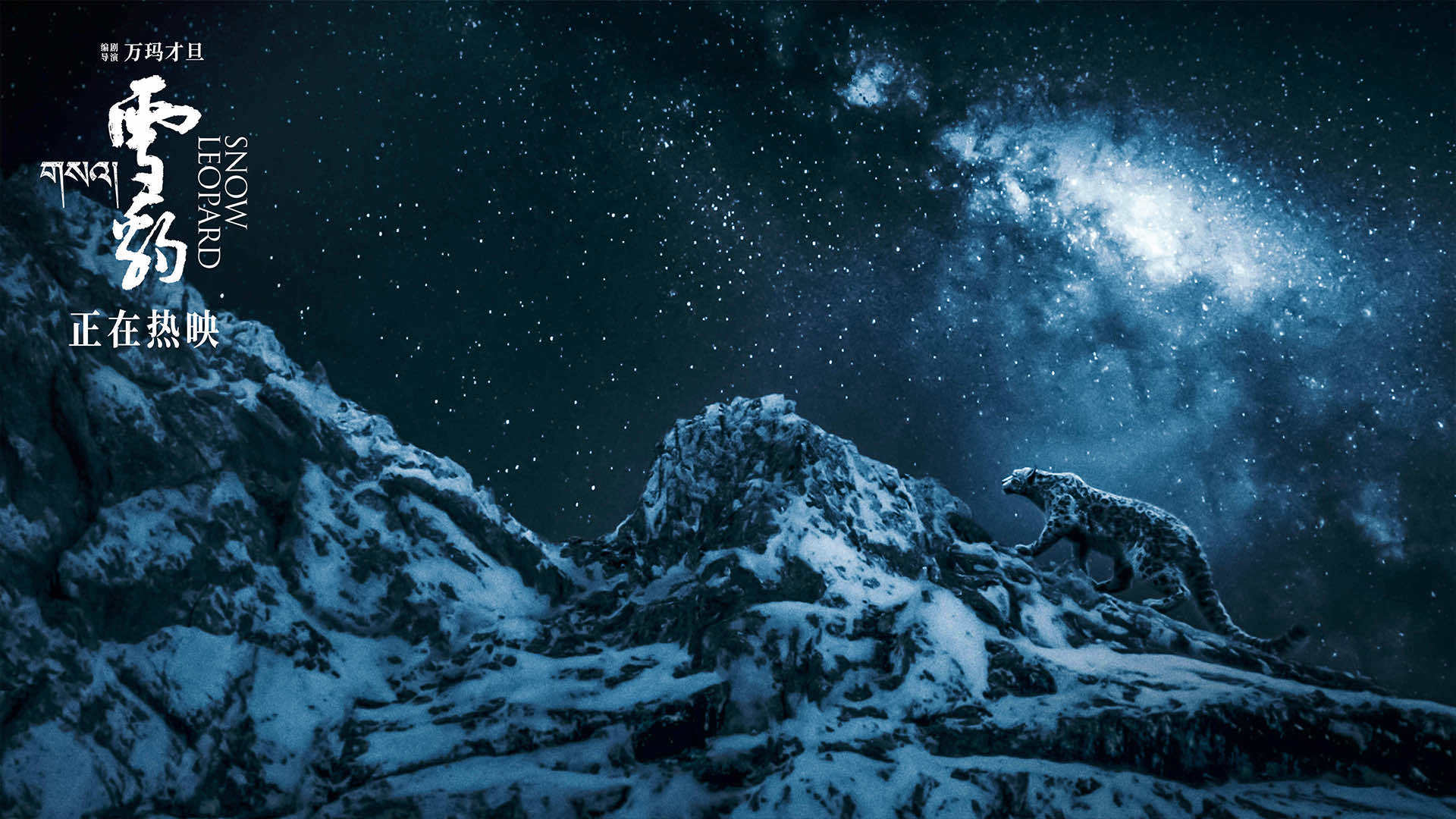 高口碑获奖佳作《雪豹》今日正式上映:打开了一个人豹之间从冲突到和解的跌宕起伏的故事(图1) 高口碑获奖佳作《雪豹》今日正式上映:打开了一个人豹之间从冲突到和解的跌宕起伏的故事(图1)