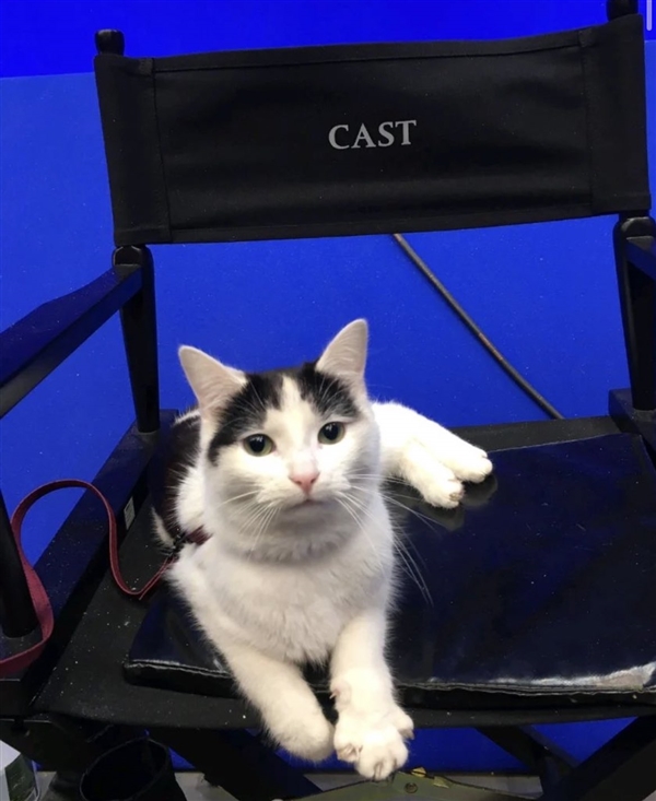 《寂静之地:入侵日》票房超预期,位列北美周票房榜亚军,创下该系列首映票房最高纪录(图3) 《寂静之地:入侵日》票房超预期