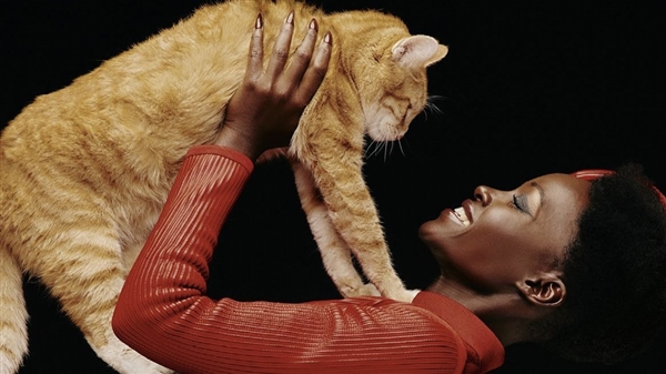 《寂静之地:入侵日》票房超预期,位列北美周票房榜亚军,创下该系列首映票房最高纪录(图5) 《寂静之地:入侵日》票房超预期