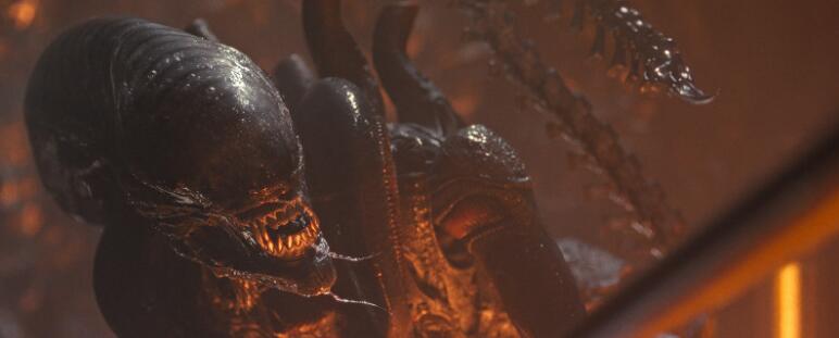 《异形:罗穆路斯》美开片夺冠创系列第2高,全球票房更冲破亿万美元大关,累积票房高达1.082亿美元(图1) 《异形:罗穆路斯》美开片夺冠创系列第2高,全球票房更冲破亿万美元大关,累积票房高达1.082亿美元(图1)