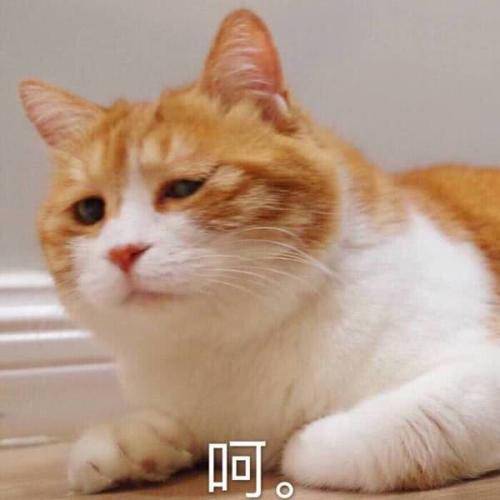 大瓜!内娱又活泛起来了(图28) 大瓜!内娱又活泛起来了(图28)