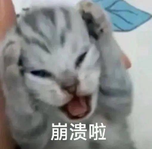 曾婚内出轨与酒店女开房的日本泳坛巨星放话要赢汪顺?(图20) 曾婚内出轨与酒店女开房的日本泳坛巨星放话要赢汪顺?(图20)