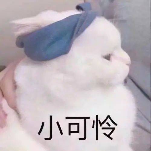 曾婚内出轨与酒店女开房的日本泳坛巨星放话要赢汪顺?(图2) 曾婚内出轨与酒店女开房的日本泳坛巨星放话要赢汪顺?(图2)