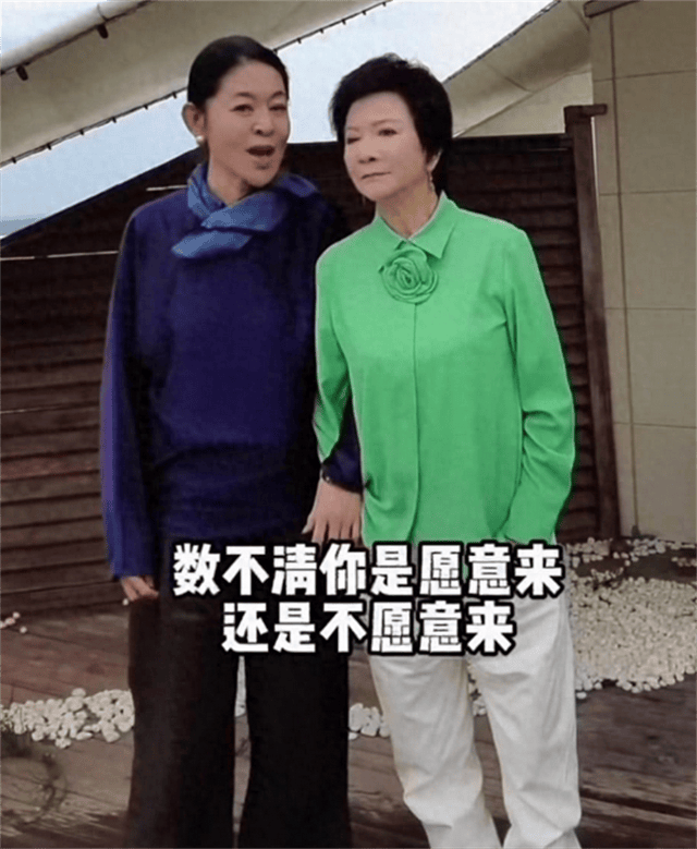 岁月的流逝,步入晚年阶段的65岁倪萍和62岁蔡明同框时,让很多人感慨万千(图18) 岁月的流逝,步入晚年阶段的65岁倪萍和62岁蔡明同框时,让很多人感慨万千(图18)