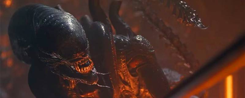 好莱坞大片终于强势回归,《异形:夺命舰》一刀未剪,恐怖程度也不断升级,血浆、酸液、猎杀高密度出现(图4) 好莱坞大片终于强势回归,《异形:夺命舰》一刀未剪,恐怖程度也不断升级,血浆、酸液、猎杀高密度出现(图4)
