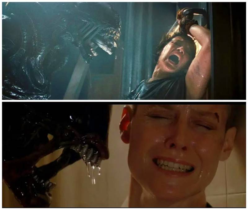 好莱坞大片终于强势回归,《异形:夺命舰》一刀未剪,恐怖程度也不断升级,血浆、酸液、猎杀高密度出现(图22) 好莱坞大片终于强势回归,《异形:夺命舰》一刀未剪,恐怖程度也不断升级,血浆、酸液、猎杀高密度出现(图22)