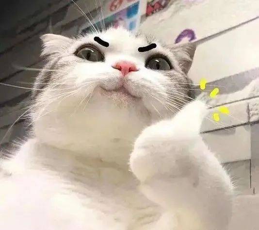 陈晓陈妍希这对夫妻的婚变消息其实已经传很久了,这两天又有新料了!(图18) 陈晓陈妍希这对夫妻的婚变消息其实已经传很久了,这两天又有新料了!(图18)