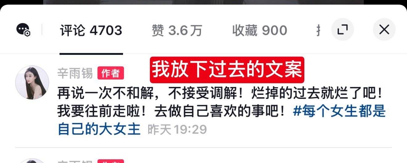 辛雨锡发文称有秦霄贤粉丝公然无视法律,伪造政府网站新闻,已第一时间选择报警(图7) 辛雨锡发文称有秦霄贤粉丝公然无视法律,伪造政府网站新闻,已第一时间选择报警(图7)