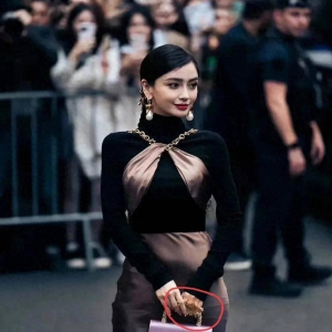 Lisa、跑男、总局集体互相泼油，引发各方争议和争议